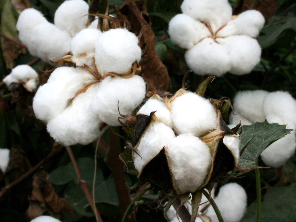 Sustainable Column Image