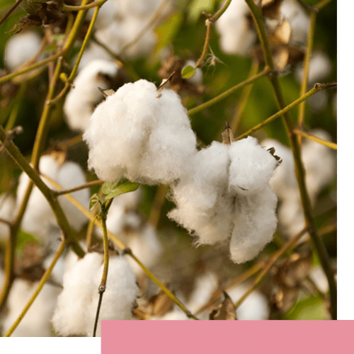 Our Story Sustainable Business (1)