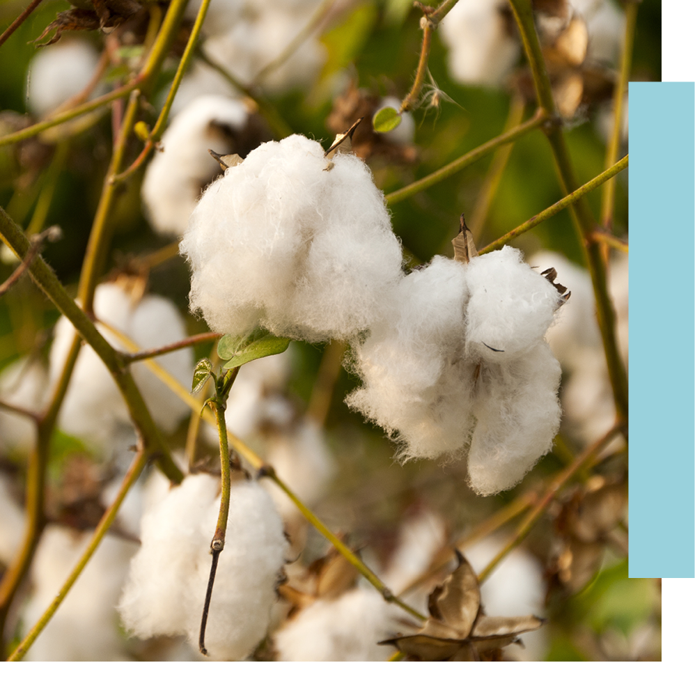 21 04 No7bc Website Images What We Believe Landing Page 2 0